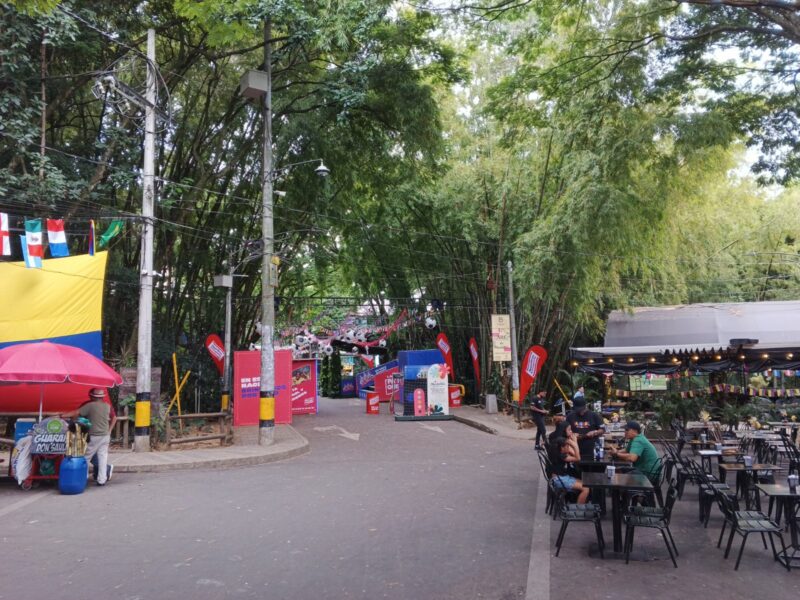 Provenza pondrá bajo tierra su cableado de energía y telecomunicaciones