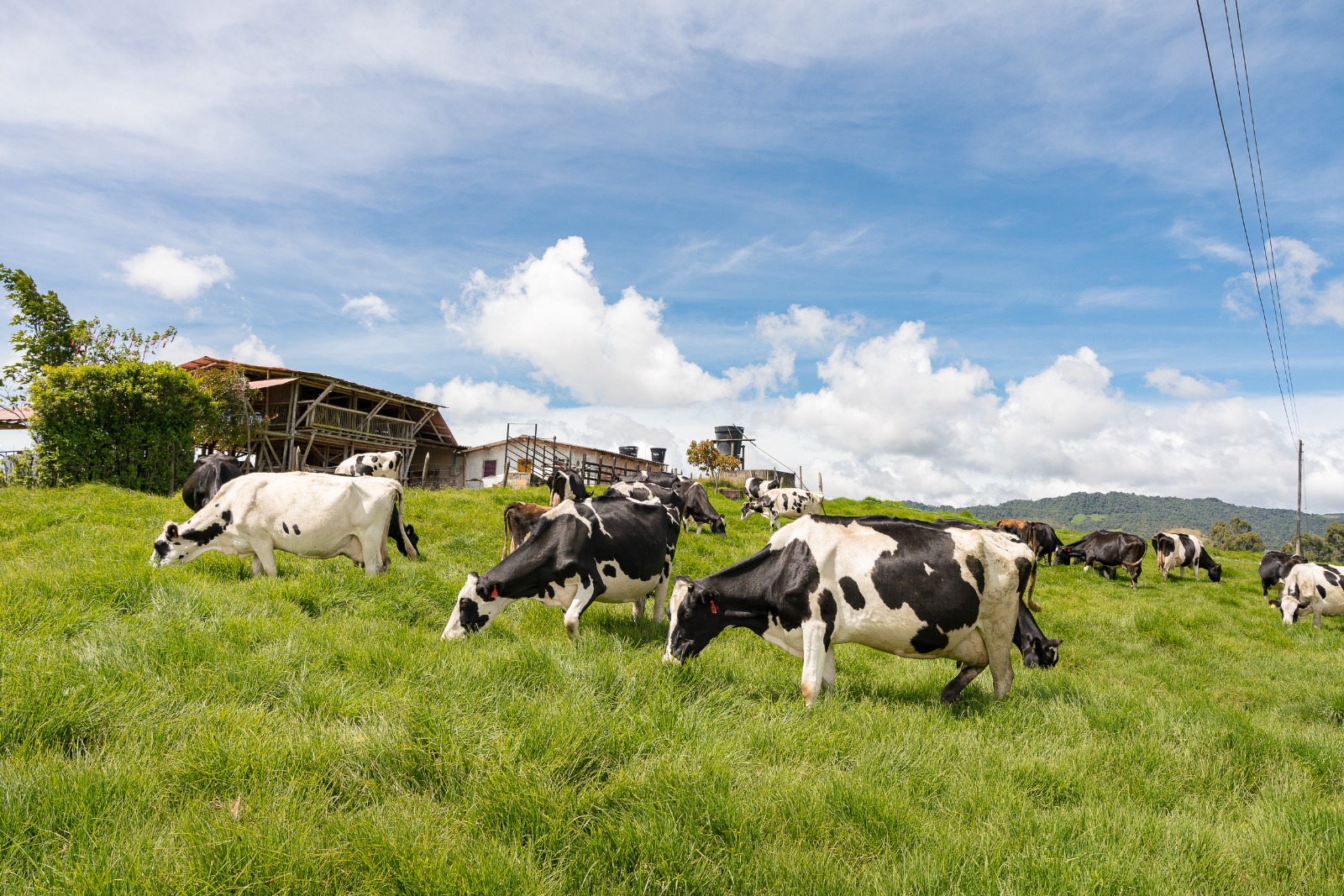 Producción lechera y agroturismo en La Unión