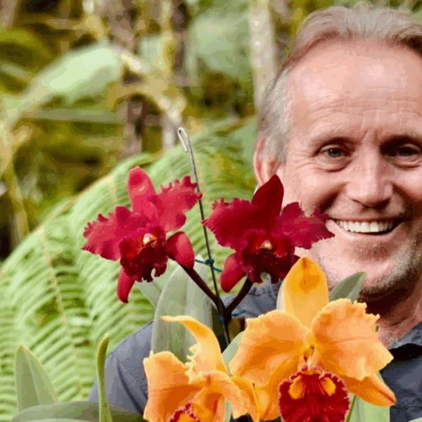 Un santuario de La Ceja multiplica orquídeas para su conservación 