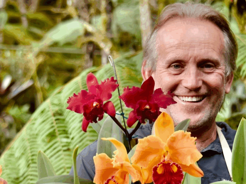 Un santuario de La Ceja multiplica orquídeas para su conservación 