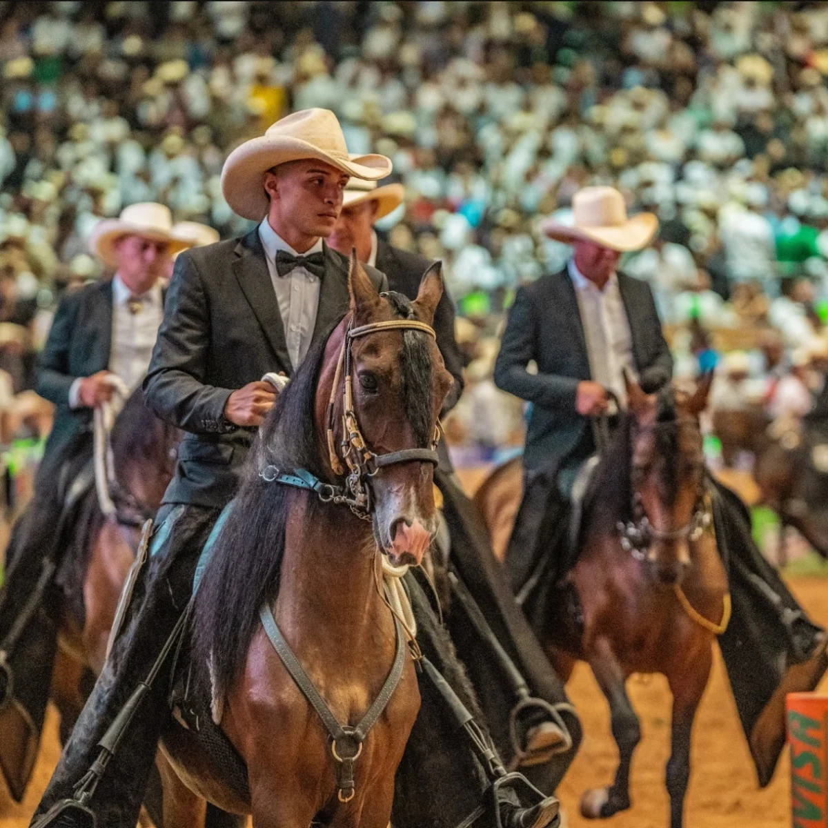 Una feria que una la tradición con lo más excelso del Caballo Criollo Colombiano
