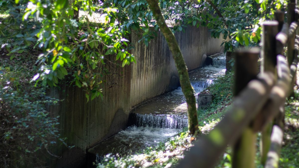 Quebrada La Presidenta, El Poblado