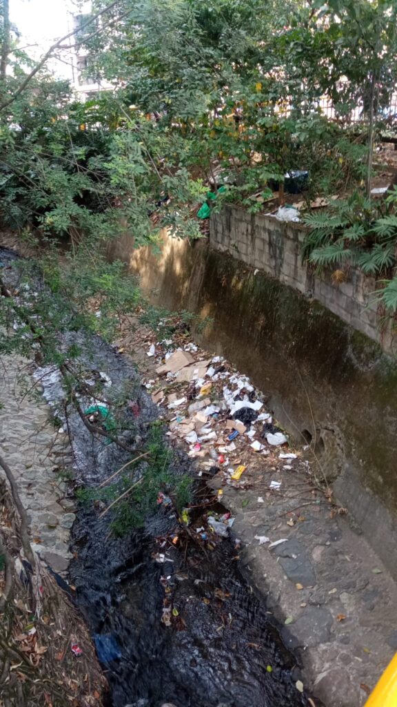 Basuras dentro de La Poblada y alrededores, en Manila