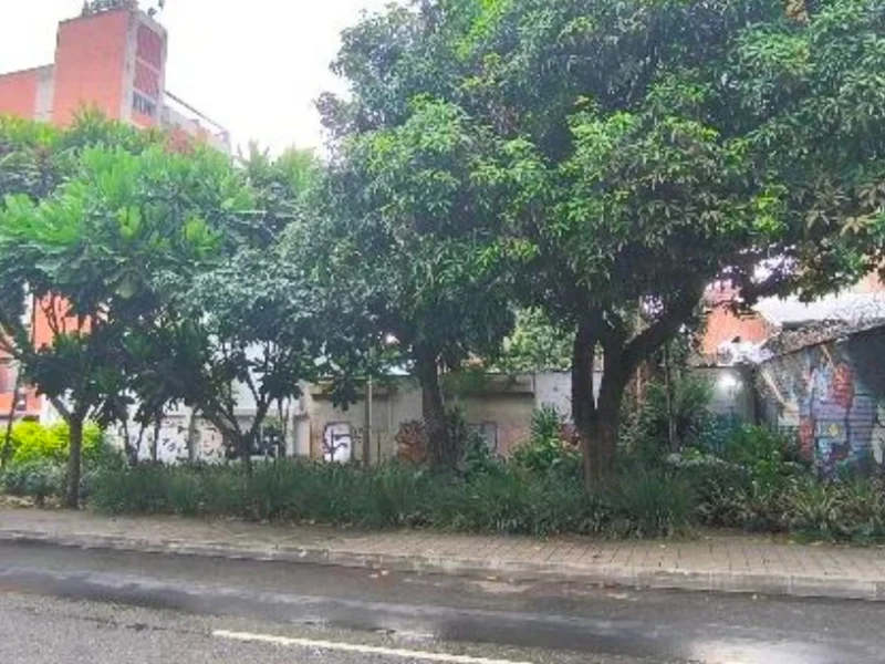 Comunidad de Astorga pide conservar el Parque del Silencio y propone un Corredor Vivo