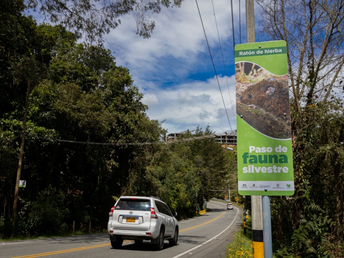 Política Pública de Biodiversidad en Envigado