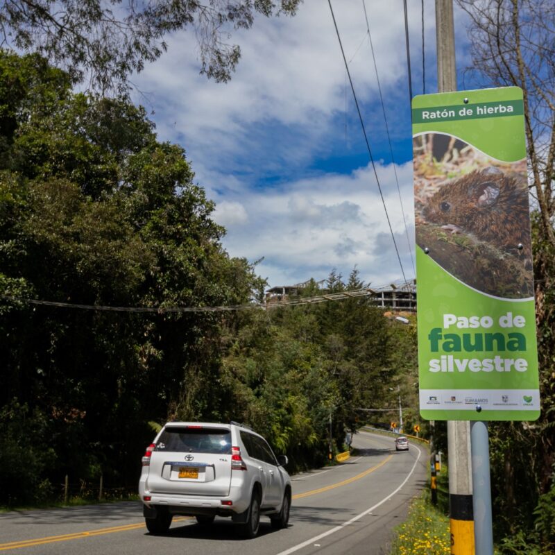 Política Pública de Biodiversidad en Envigado