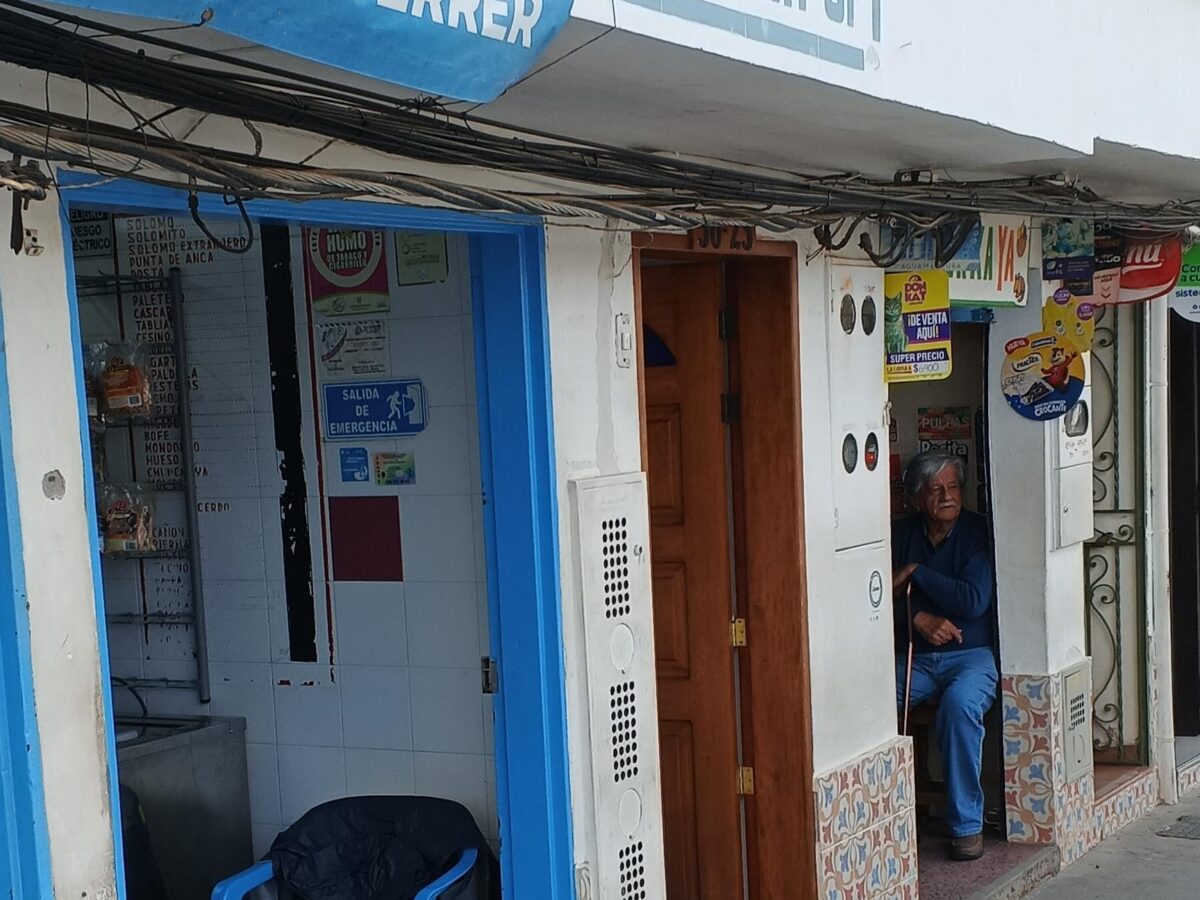 Perro de carnicero, en San Vicente Ferrer