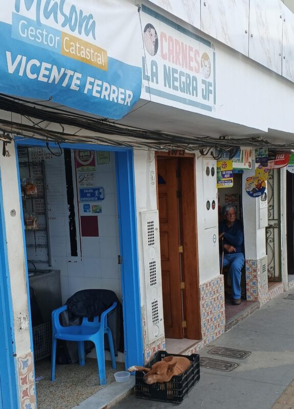 Perro de carnicero, en San Vicente Ferrer