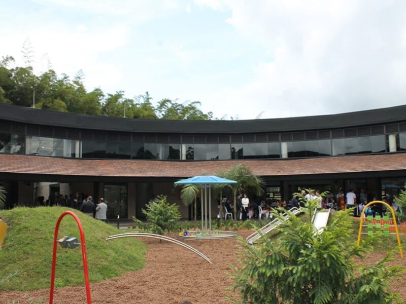 Colegio Montessori: 50 años formando seres humanos con propósito