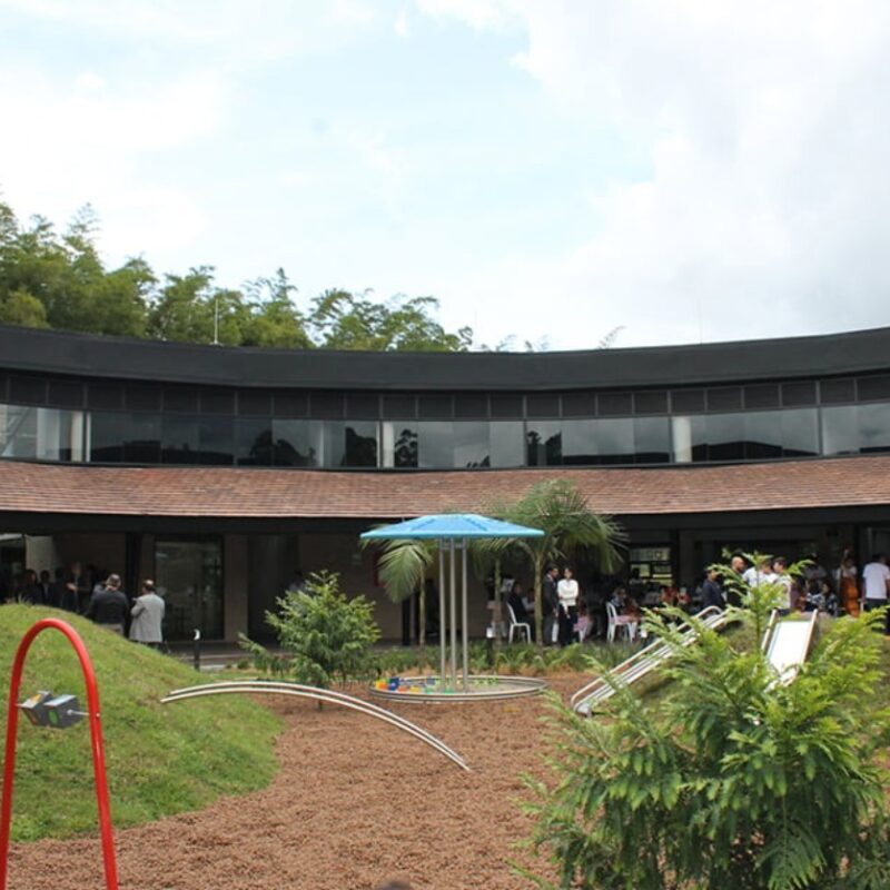 Colegio Montessori: 50 años formando seres humanos con propósito