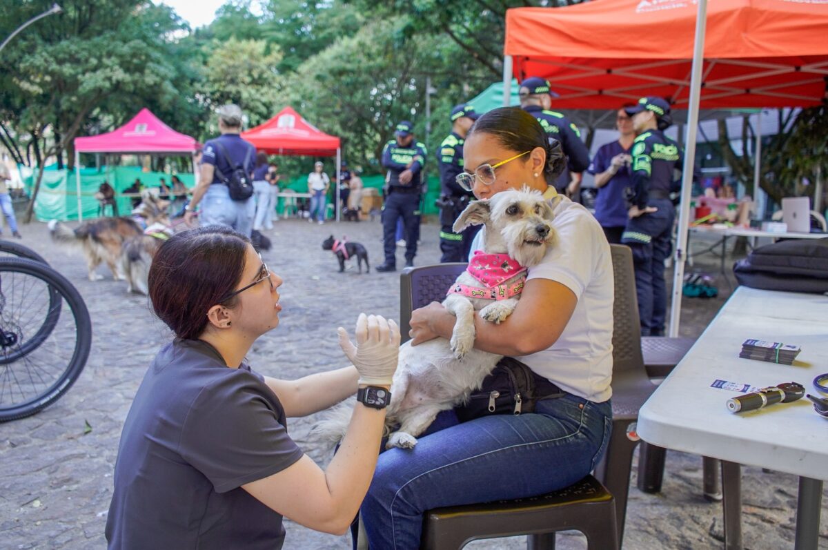 Segunda Coolpets en Ciudad del Río