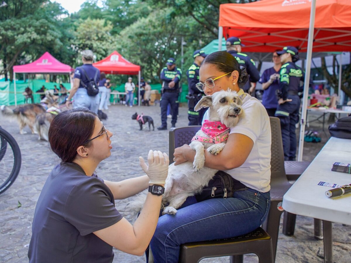 Segunda Coolpets en Ciudad del Río