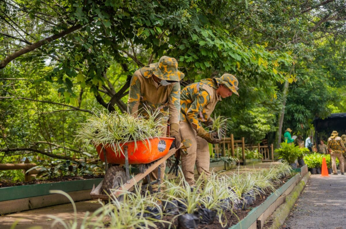 Medellín, reconocida como la ciudad más sostenible de América Latina
