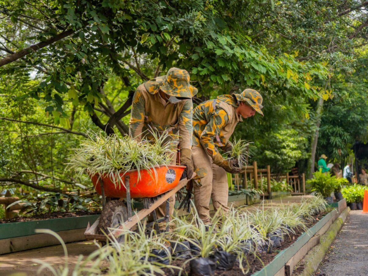 Medellín, reconocida como la ciudad más sostenible de América Latina