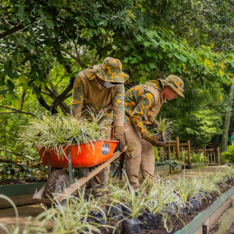 Medellín busca regar zonas verdes sin usar agua potable
