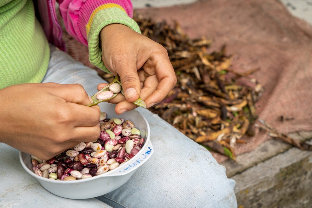 Escuelas Campesinas de Cocina Periodismo de soluciones