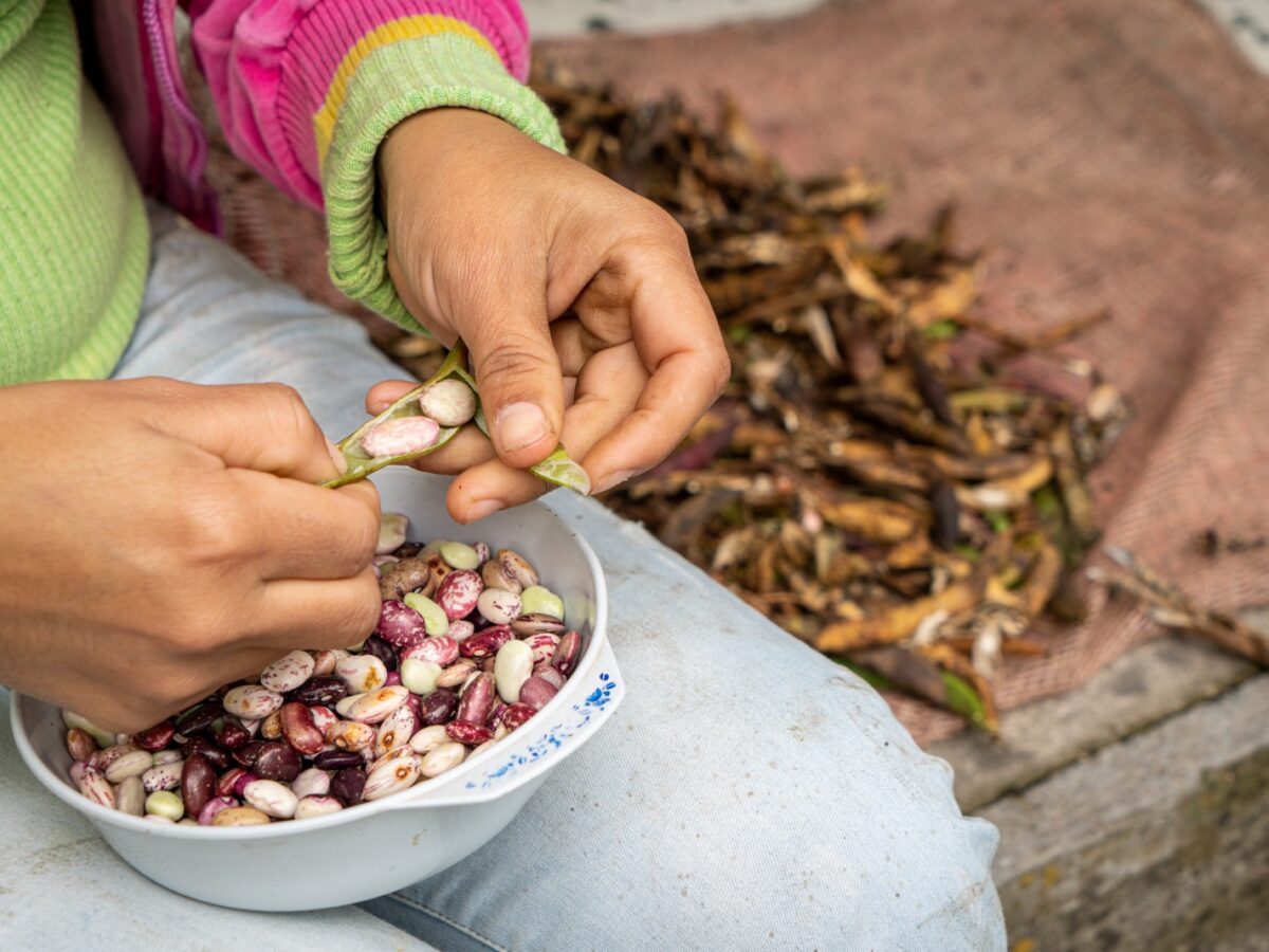 Cocinando saberes y memoria con Escuelas Campesinas de Cocina