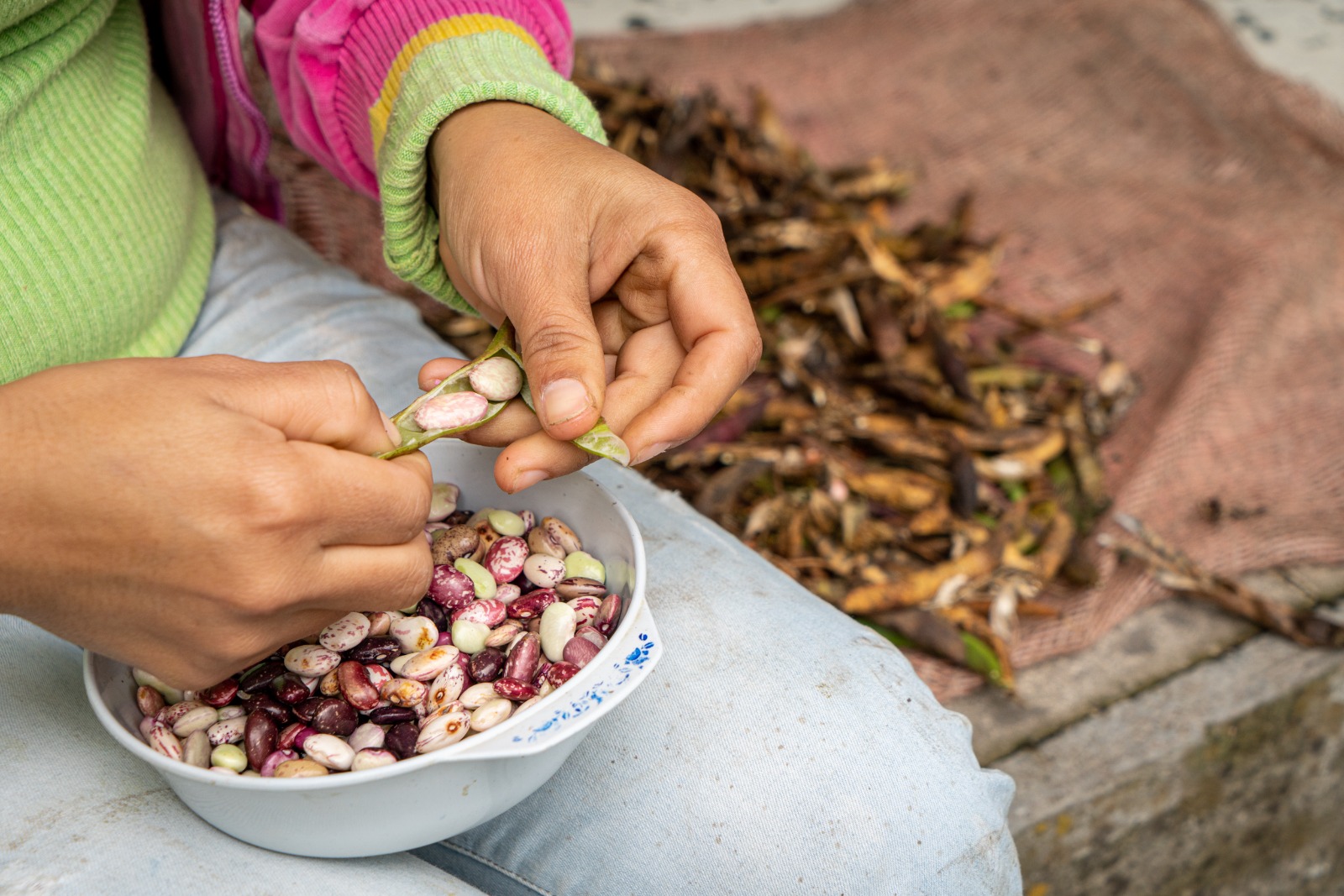 Escuelas Campesinas de Cocina Periodismo de soluciones