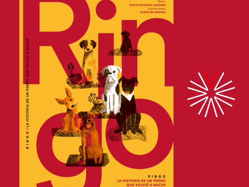 ‘Ringo’: literatura sobre segundas oportunidades y tenencia responsable