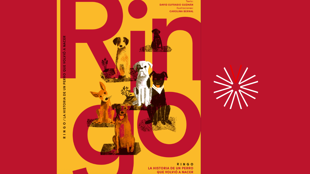 ‘Ringo’: literatura sobre segundas oportunidades y tenencia responsable