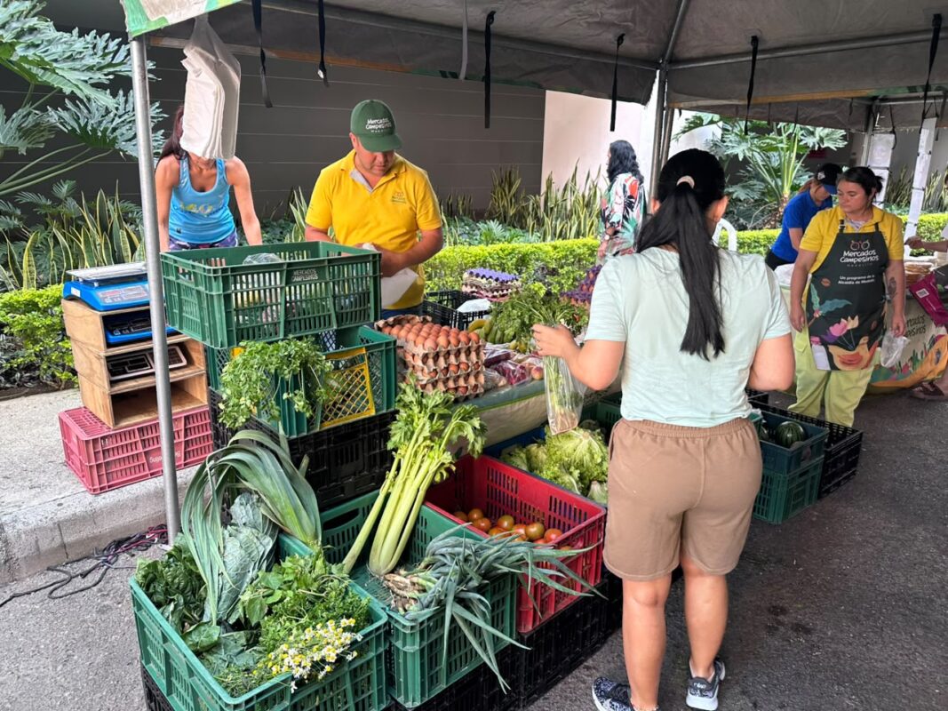 Tierra Grata con nueva tienda móvil campesina