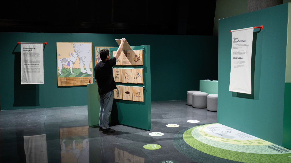 Perros y gatos una exposición para mirar el mundo desde otras patas