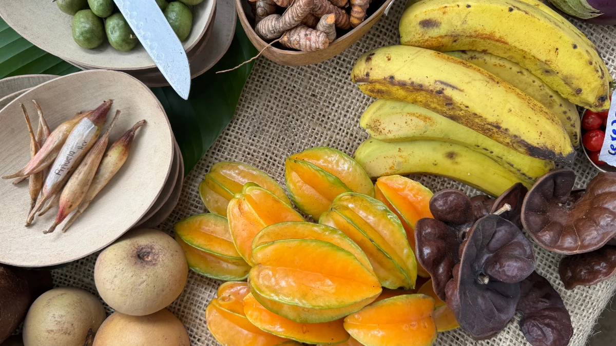 Frutas del Caribe: raíces de ayer, sabores de mañana