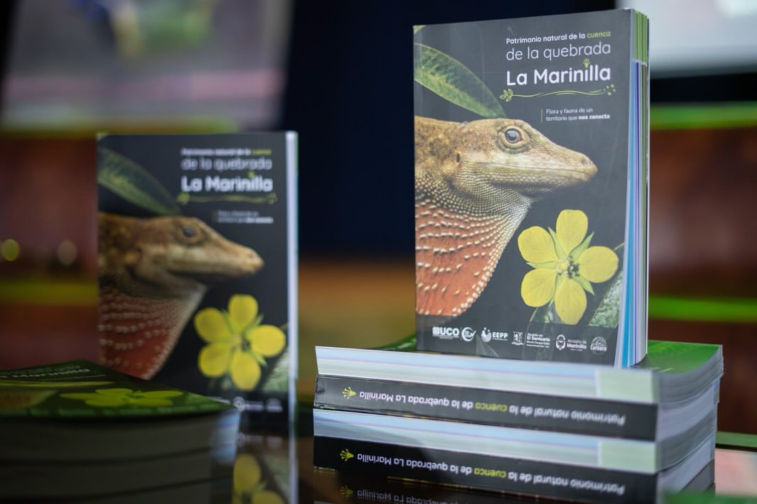 Diversidad de Marinilla