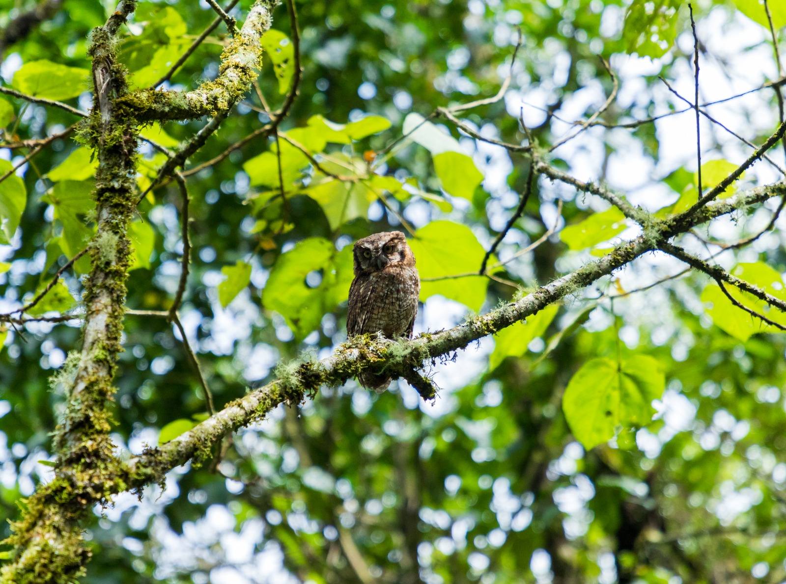 Semana de la Biodiversidad en Envigado