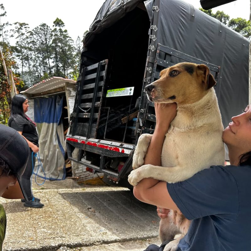 Guarne abre su Centro de Bienestar Animal en predio entregado por la SAE