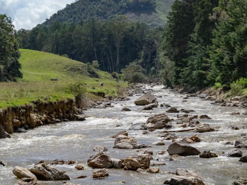 Cuidar la naturaleza también sostiene familias   