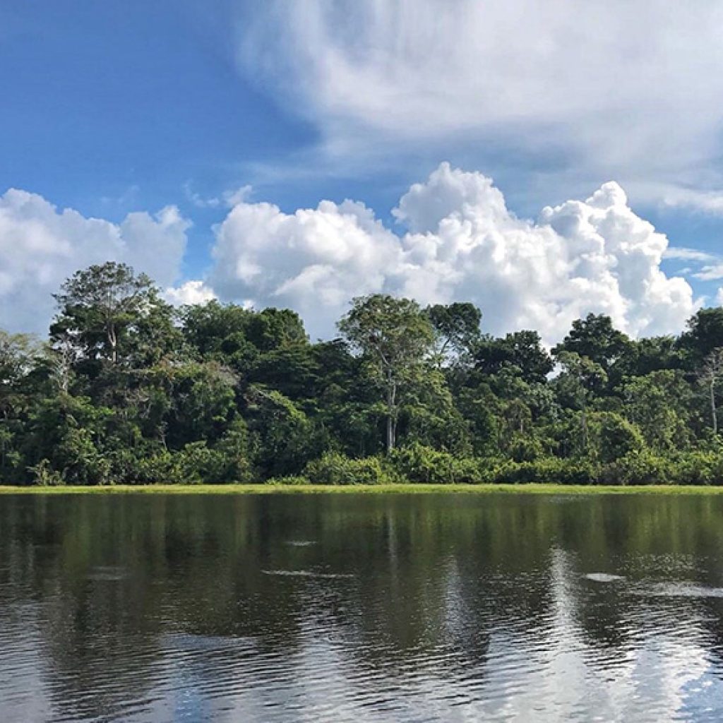 Reflexiones sobre el Amazonas