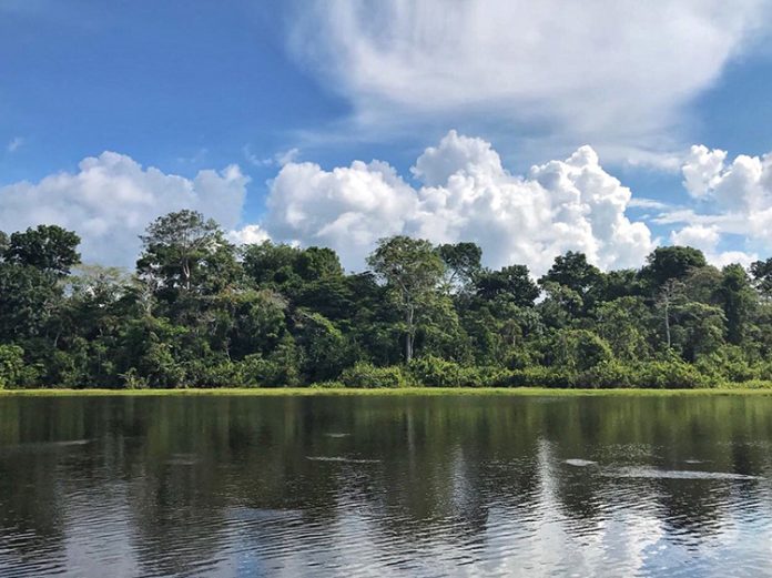 Reflexiones sobre el Amazonas