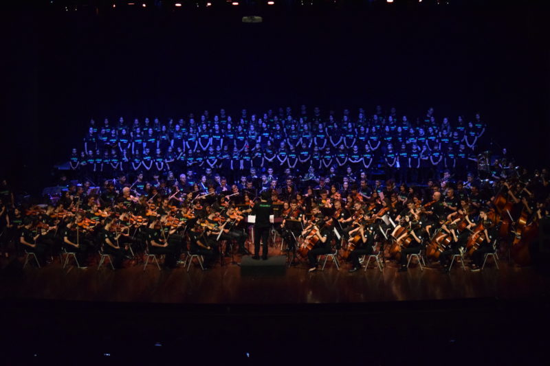 Colegio Alemán
