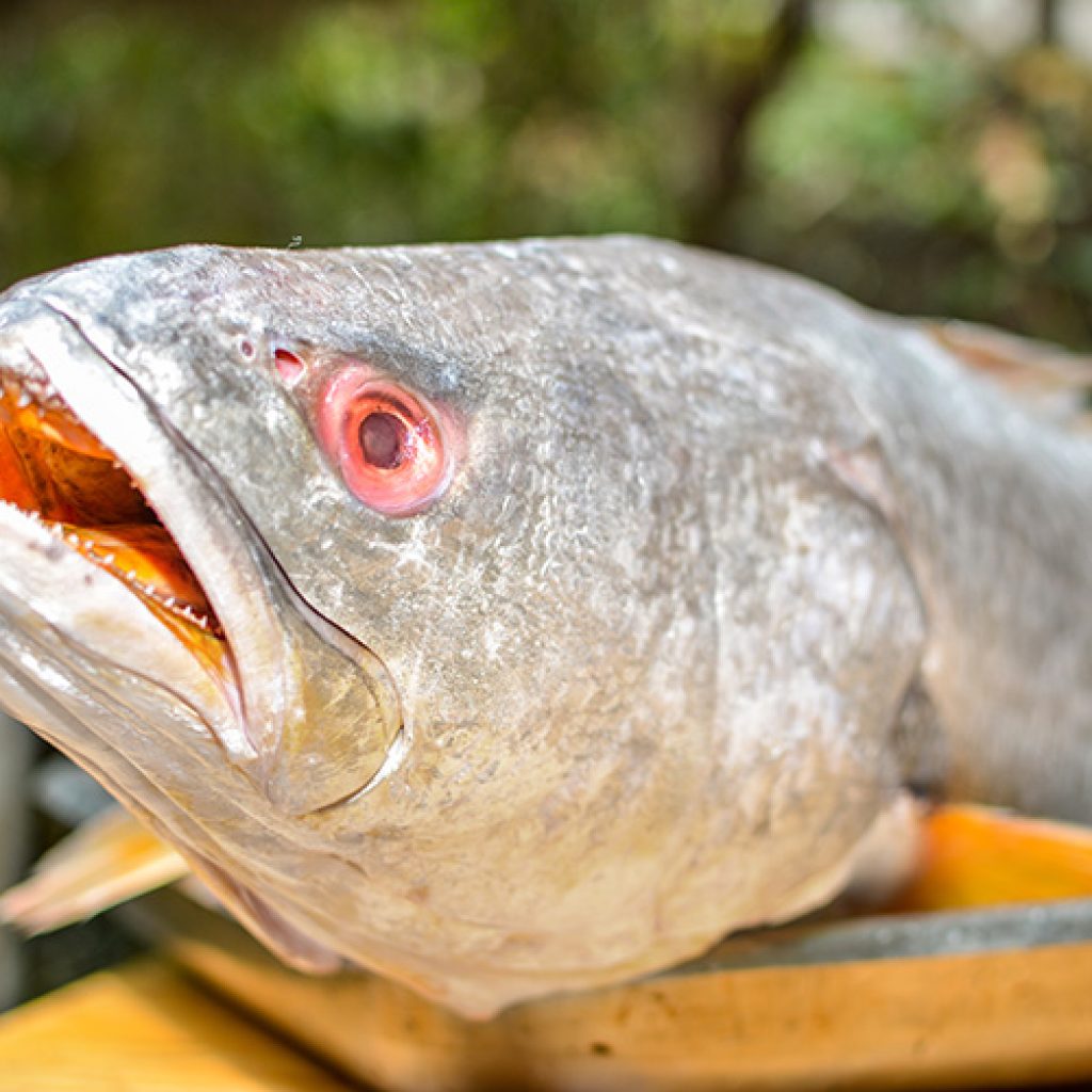 Criterios para ejercer un consumo responsable de pescado