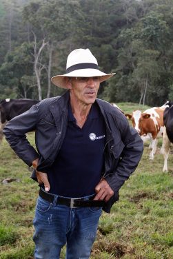 San Pedro de los Milagros es el municipio que más produce leche por metro cuadrado en Colombia.