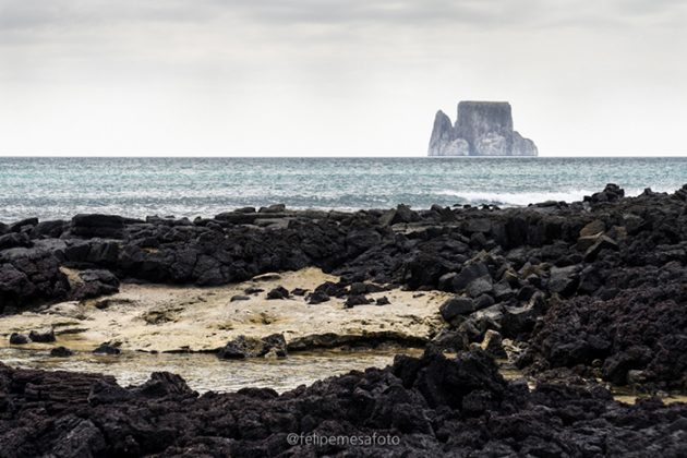 Isla Galápagos