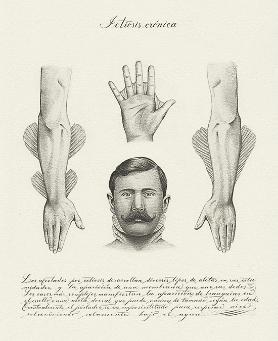Juan Osorno. Ictiosis crónica. Lapíz sobre papel. 29,8 x 22,2 cm. 2018. Foto cortesía.