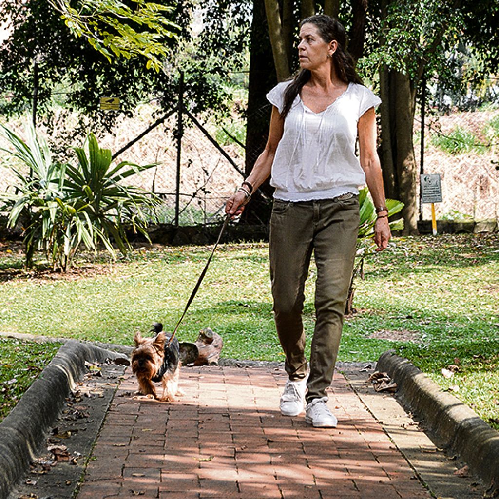 ¿Quiere tener mascota? considere (y esta es mi invitación) no comprar: adopte, cuide y esterilice y no apoye el tráfico de fauna silvestre!