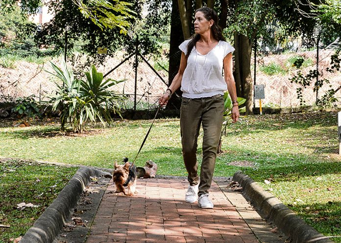 ¿Quiere tener mascota? considere (y esta es mi invitación) no comprar: adopte, cuide y esterilice y no apoye el tráfico de fauna silvestre! ¿Quiere tener mascota? considere (y esta es mi invitación) no comprar: adopte, cuide y esterilice y no apoye el tráfico de fauna silvestre!
