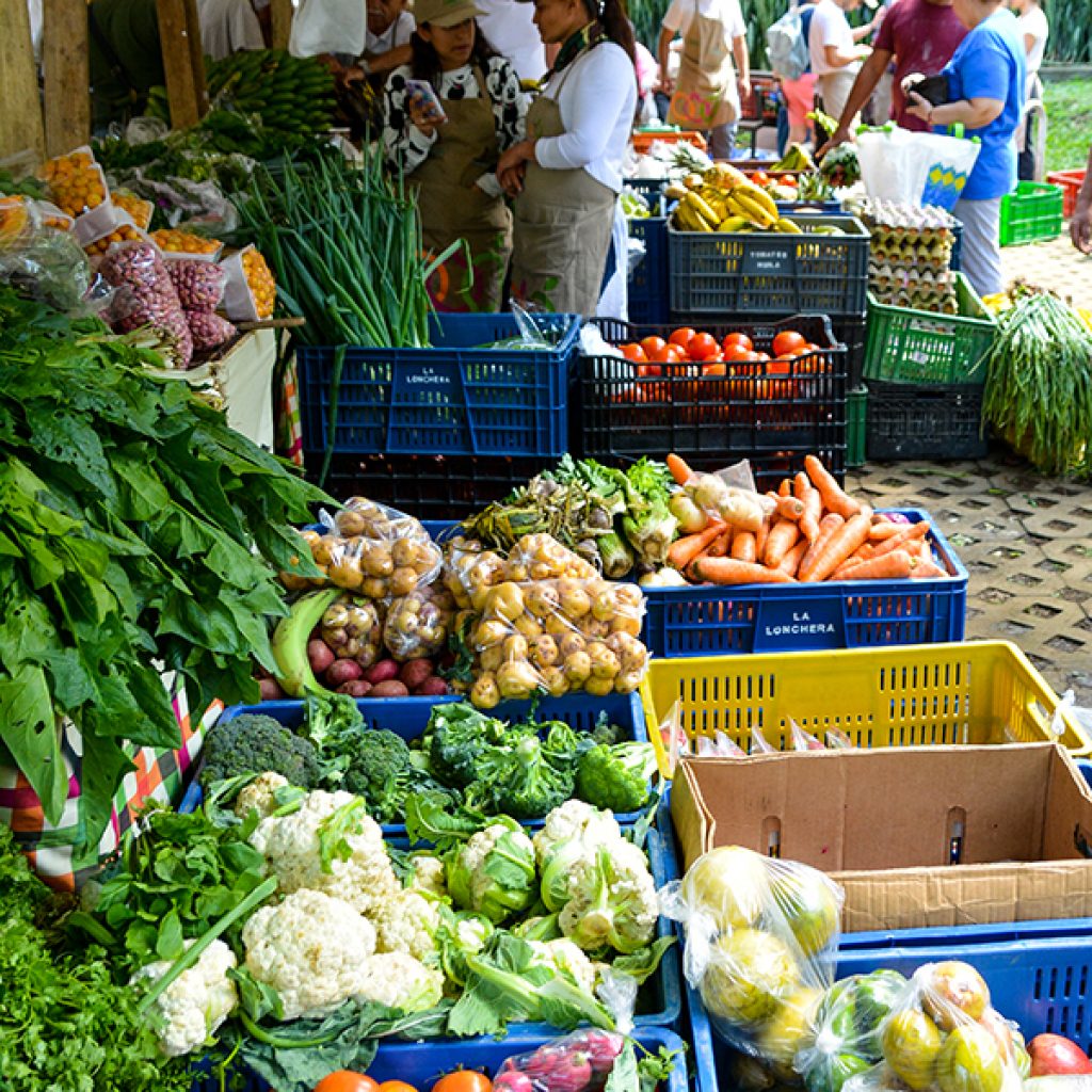 Mercados Campesinos