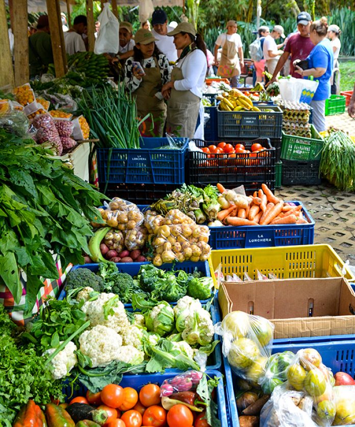 Mercados Campesinos Mercados Campesinos