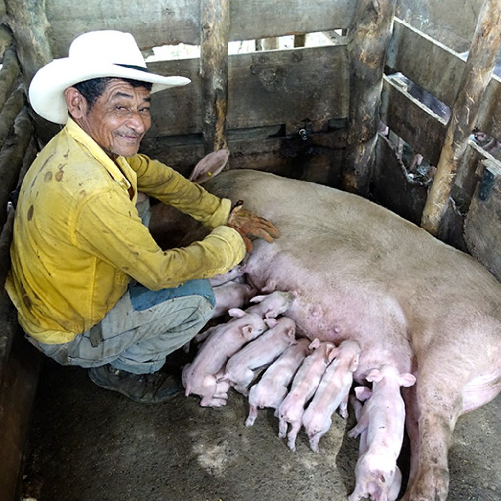 Montes de María / Juan Alberto Covo Meléndez