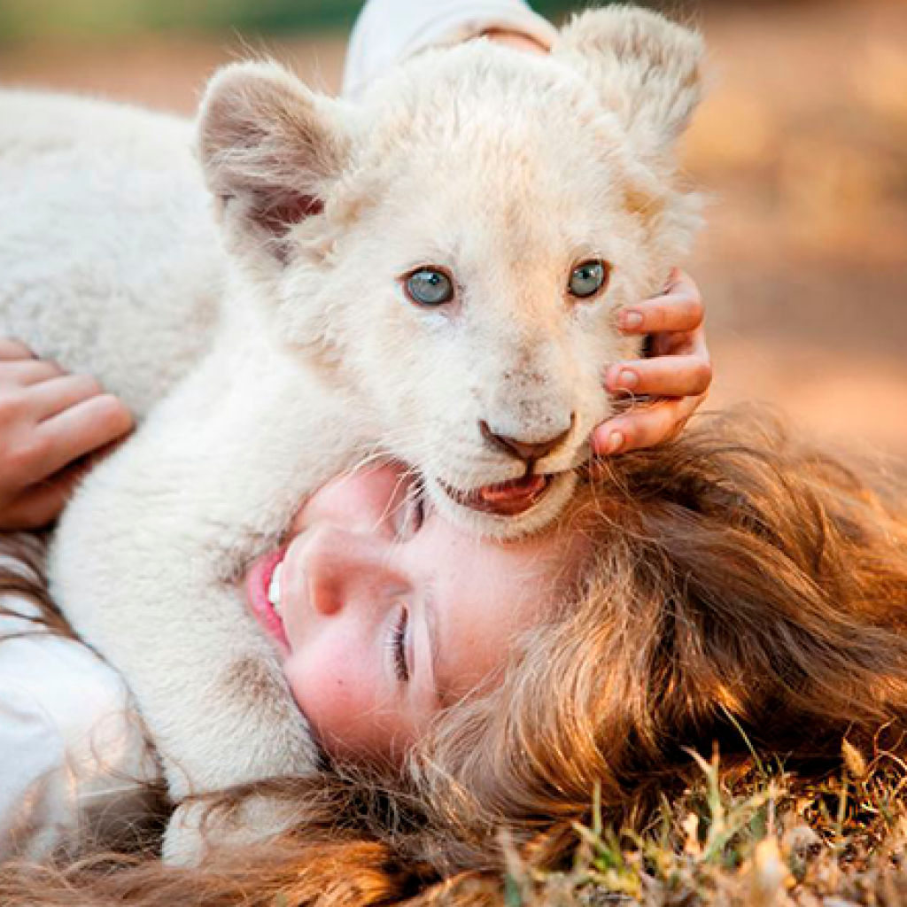 Mía y el León Blanco