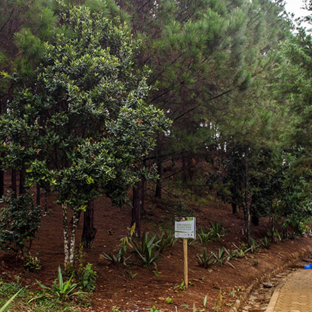 Rutas mitológicas en el Parque Arví
