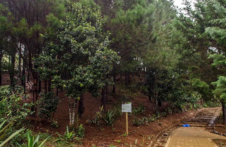 Rutas mitológicas en el Parque Arví
