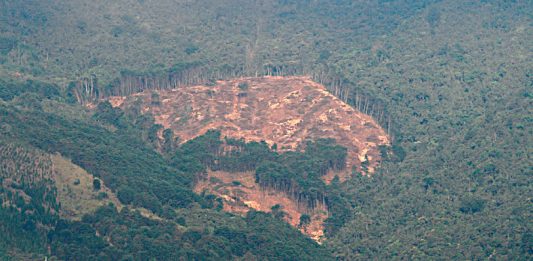 Además del aire contaminado por el tráfico automotor en un 66%, y procesos industriales en un 31%, las laderas de El Poblado son deforestadas.