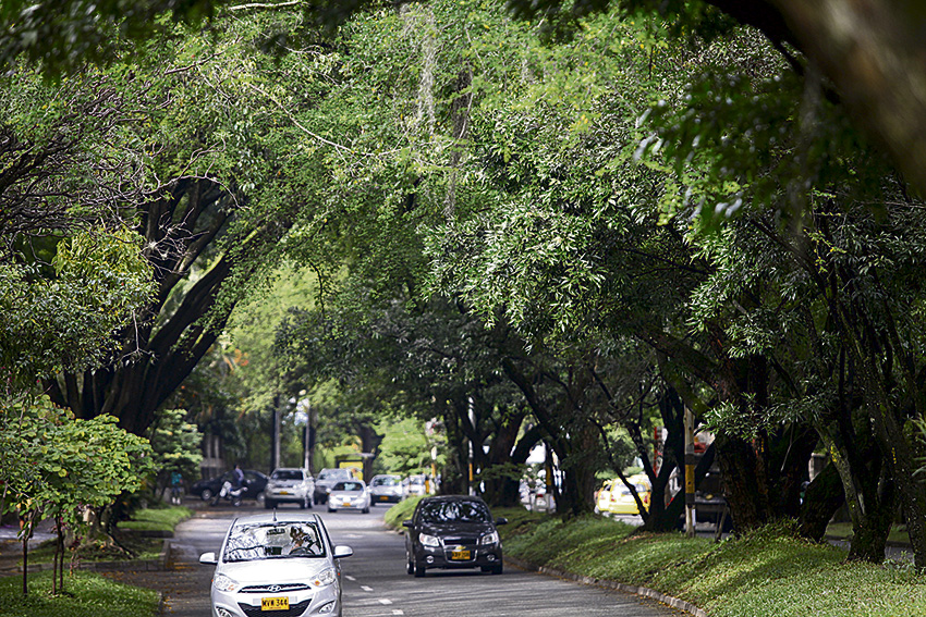 Túnel Verde