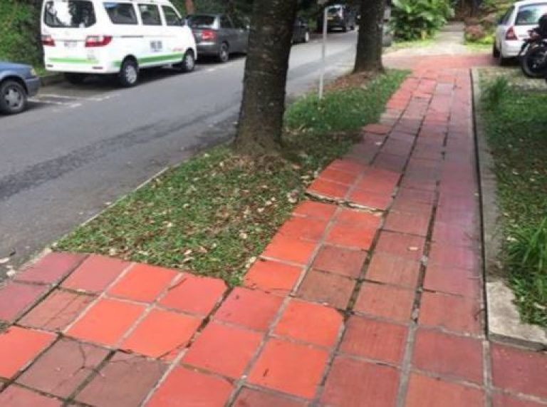 Las raíces están causando estragos