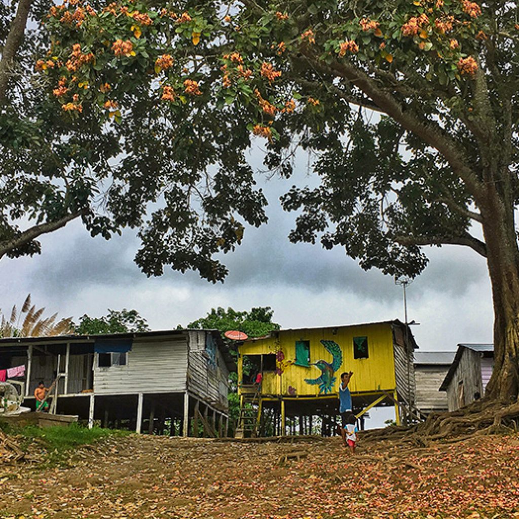 Reflexiones sobre el Amazonas